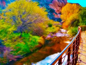 Botanical Walk
